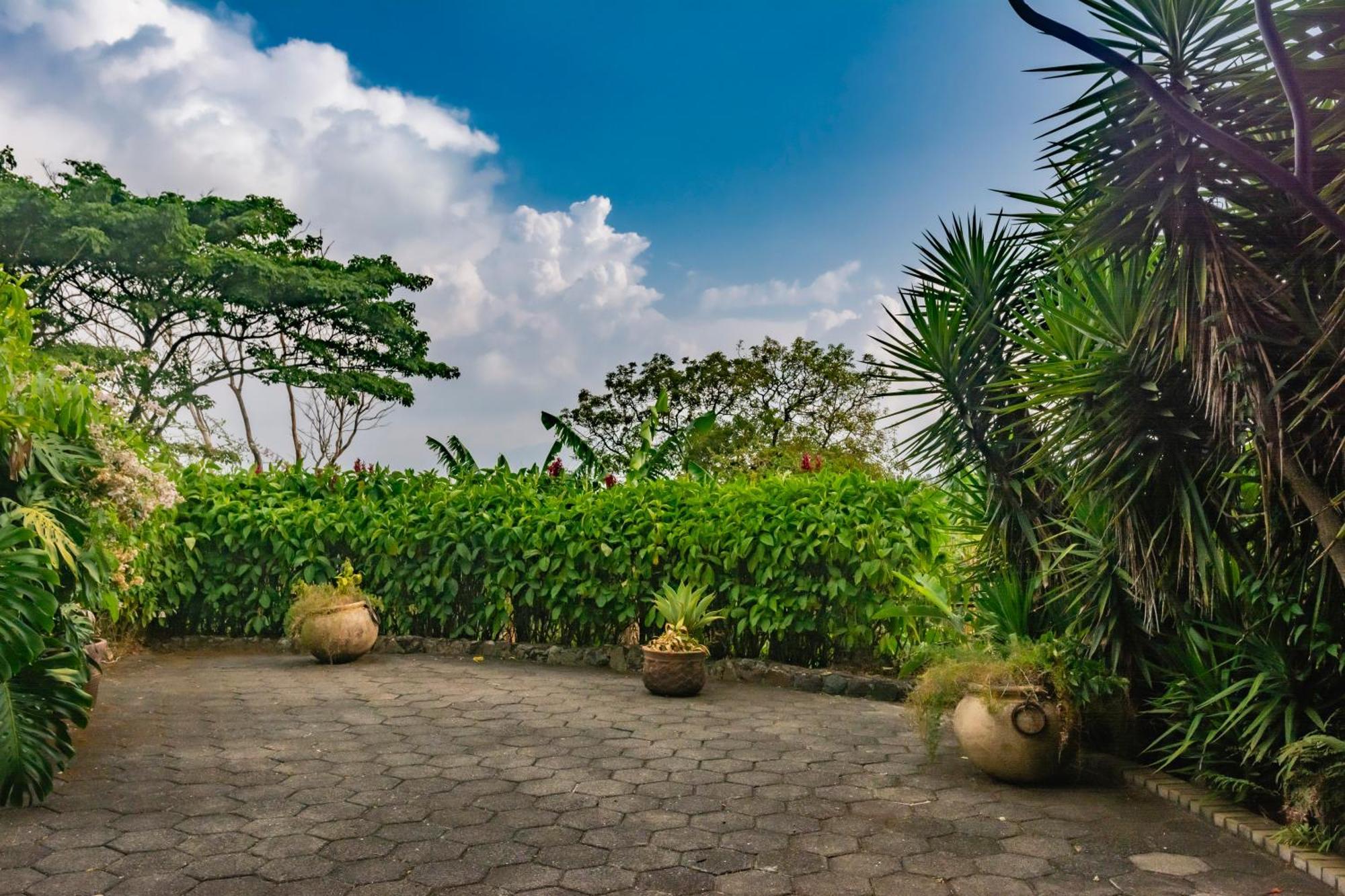 Finca Rosa Blanca Coffee Farm And Inn Heredia Eksteriør billede